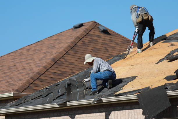 Best Asphalt Shingle Roofing  in Elim, PA