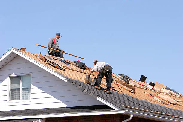 Best Metal Roofing Installation  in Elim, PA